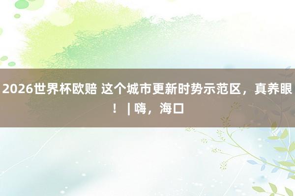2026世界杯欧赔 这个城市更新时势示范区，真养眼！ | 嗨，海口