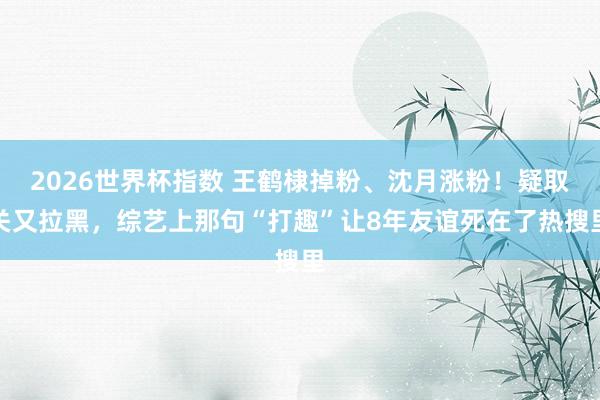 2026世界杯指数 王鹤棣掉粉、沈月涨粉！疑取关又拉黑，综艺上那句“打趣”让8年友谊死在了热搜里