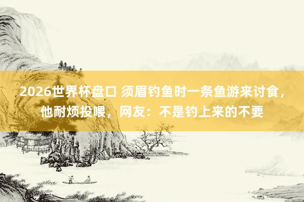 2026世界杯盘口 须眉钓鱼时一条鱼游来讨食，他耐烦投喂，网友：不是钓上来的不要