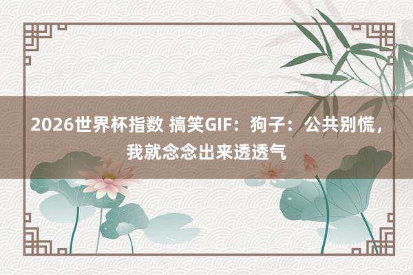 2026世界杯指数 搞笑GIF：狗子：公共别慌，我就念念出来透透气