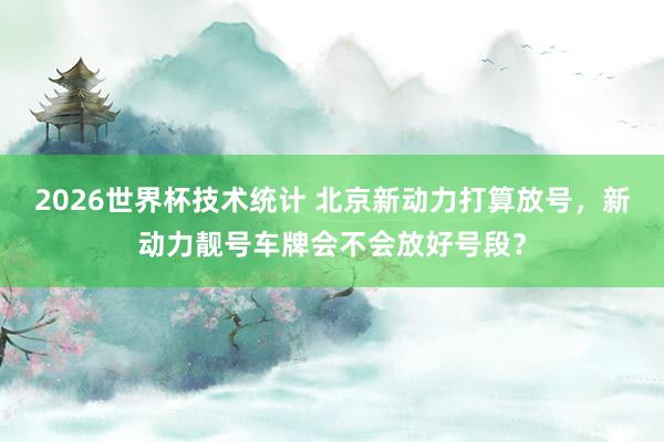 2026世界杯技术统计 北京新动力打算放号，新动力靓号车牌会不会放好号段？