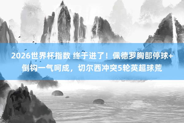 2026世界杯指数 终于进了！佩德罗胸部停球+倒钩一气呵成，切尔西冲突5轮英超球荒