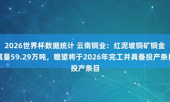 2026世界杯数据统计 云南铜业：红泥坡铜矿铜金属量59.29万吨，瞻望将于2026年完工并具备投产条目