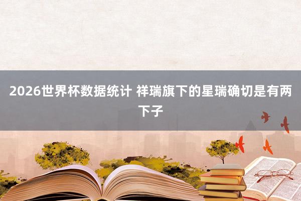 2026世界杯数据统计 祥瑞旗下的星瑞确切是有两下子