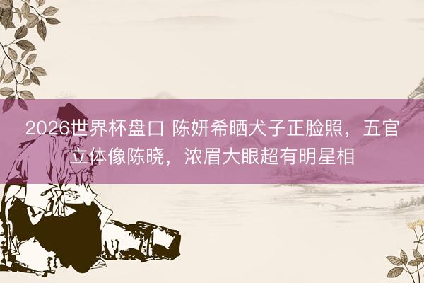 2026世界杯盘口 陈妍希晒犬子正脸照，五官立体像陈晓，浓眉大眼超有明星相