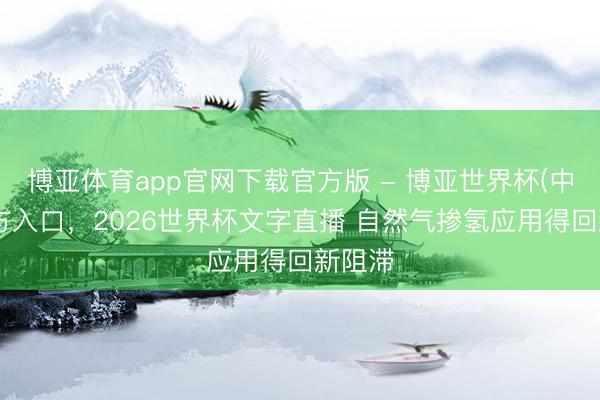 博亚体育app官网下载官方版 - 博亚世界杯(中国)官方入口，2026世界杯文字直播 自然气掺氢应用得回新阻滞