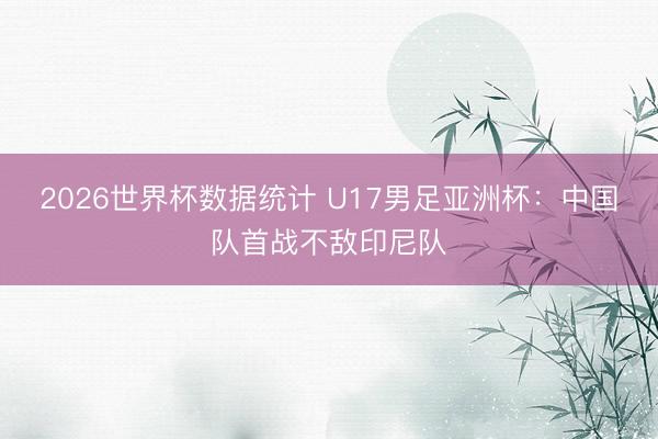 2026世界杯数据统计 U17男足亚洲杯：中国队首战不敌印尼队